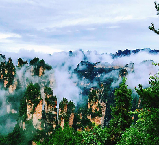 張家界葛根粉 山水間的自然饋贈，旅途中的養(yǎng)生珍品